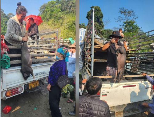 Tại chợ phiên luôn đầy áp những đặc sản của nước bạn Lào.