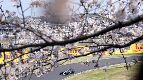  Hoa anh đào nở rộ tại đường đua Suzuka ở thành phố Suzuka, tỉnh Mie, trong buổi chạy thử trước thềm chặng đua F1 Nhật Bản hôm 28/3. Ảnh: Kyodo. 