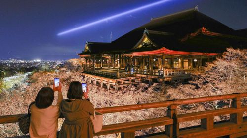  Trong khi đó, khoảng một nghìn cây anh đào đã được thắp sáng tại chùa Kiyomizu ở Kyoto trong một sự kiện thử nghiệm vào ngày 26/3, một ngày trước khi bắt đầu chương trình ngắm hoa đêm đặc biệt mùa xuân kéo dài đến ngày 5/4. Ảnh: Kyodo. 