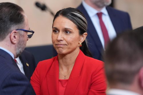 Giám đốc Tình báo Quốc gia Tulsi Gabbard có lập trường phản chiến mạnh mẽ khi còn là thành viên Quốc hội Mỹ. Ảnh: Reuters.