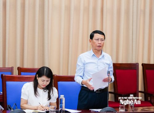 Phó Giám đốc Sở Nội vụ Vi Ngọc Quỳnh phát biểu tại cuộc làm việc. Ảnh: TL