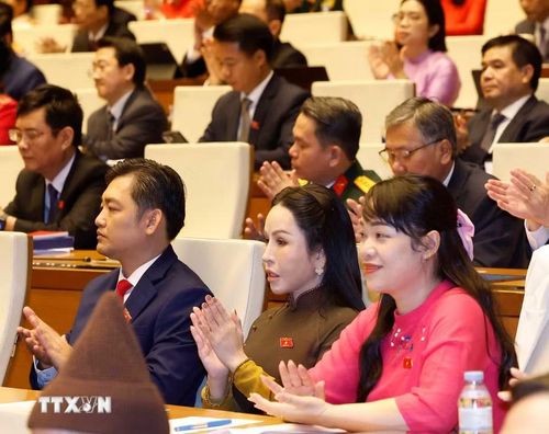 Các đại biểu tham dự phiên khai mạc Kỳ họp thứ nhất, Quốc hội khóa XVI. (Ảnh: Thống Nhất/TTXVN)