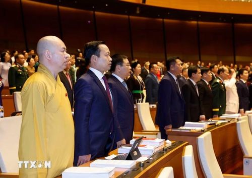 Các đại biểu thực hiện nghi thức chào cờ. (Ảnh: Thống Nhất/TTXVN)