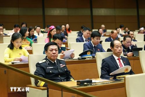 Các đại biểu tham dự phiên khai mạc Kỳ họp thứ Nhất, Quốc hội khóa XVI. (Ảnh: Dương Giang/TTXVN)