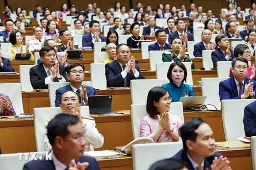 Các đại biểu tham dự phiên khai mạc Kỳ họp thứ nhất, Quốc hội khóa XVI. (Ảnh: Doãn Tấn/TTXVN)