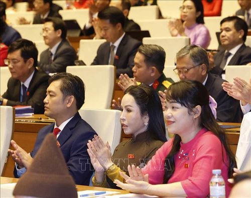 Các đại biểu tham dự phiên khai mạc Kỳ họp thứ Nhất, Quốc hội khóa XVI. Ảnh: Thống Nhất/TTXVN