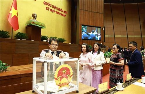 Đại biểu Quốc hội bỏ phiếu bầu Chủ tịch Quốc hội khóa XVI. Ảnh: Dương Giang/TTXVN