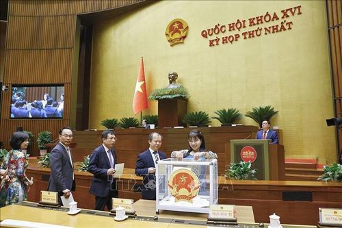Đại biểu Quốc hội bỏ phiếu bầu Chủ tịch Quốc hội khóa XVI. Ảnh: Doãn Tấn/TTXVN