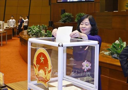 Đại biểu Quốc hội bỏ phiếu bầu Chủ tịch Quốc hội khóa XVI. Ảnh: Doãn Tấn/TTXVN