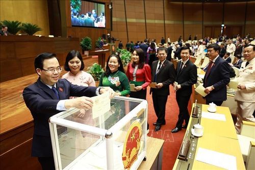 Đại biểu Quốc hội bỏ phiếu bầu Chủ tịch Quốc hội khóa XVI. Ảnh: Dương Giang/TTXVN