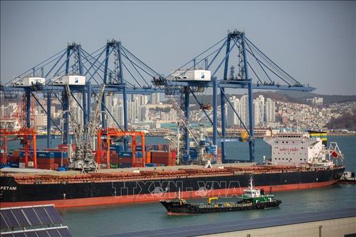 Quang cảnh cảng Busan, Hàn Quốc. Ảnh: Yonhap/TTXVN