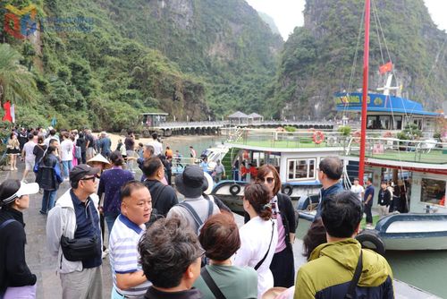  Du khách quốc tế tấp nập tham quan các đảo và hang động trên Vịnh Hạ Long. 