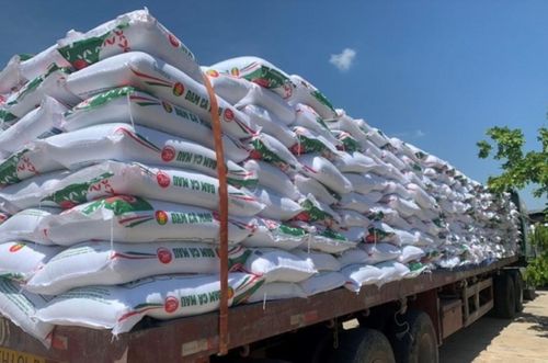 Giá phân bón hôm nay 6/4/2026: Ure, NPK, Kali giữ ổn định