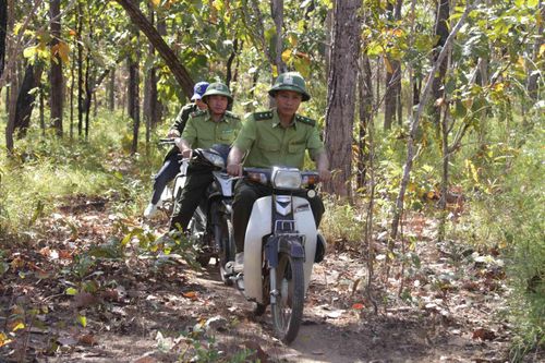 Công tác quản lý, bảo vệ rừng vào mùa khô được triển khai nghiêm ngặt.