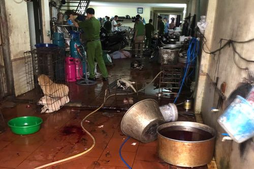 Lực lượng công an xã Đa Phúc phát hiện hoạt động thu gom, tiêu thụ chó nghi do trộm cắp