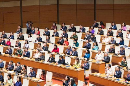 Các đại biểu dự phiên họp.