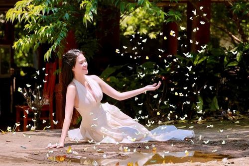 Mùa bướm rừng Cúc Phương không chỉ là một món quà của thiên nhiên, mà còn là minh chứng cho việc khai thác du lịch dựa trên sự tôn trọng và bảo tồn giá trị bản địa. Ảnh: VQGCP