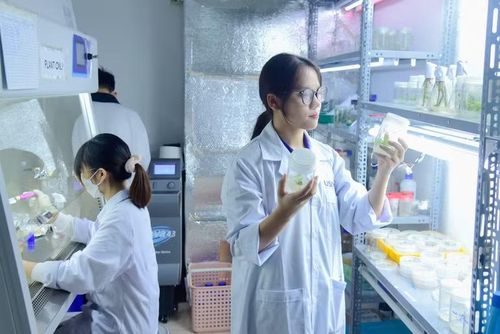 Nghiên cứu tại Trường đại học Khoa học và Công nghệ Hà Nội (USTH).