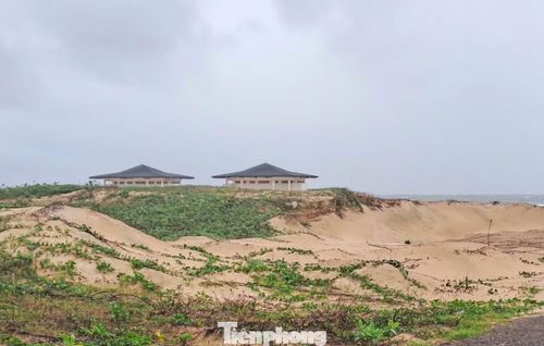 Dự án Phương Mai Bay Resort "nằm yên bất động" nhiều năm. Ảnh: Trương Định.