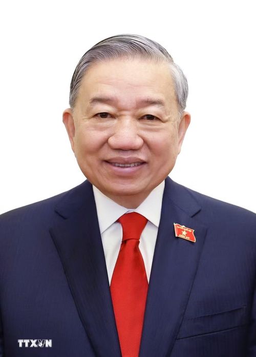 Đồng chí Tô Lâm, Tổng Bí thư Ban Chấp hành Trung ương Đảng Cộng sản Việt Nam, Chủ tịch nước Cộng hòa xã hội chủ nghĩa Việt Nam nhiệm kỳ 2026-2031. (Ảnh: TTXVN)