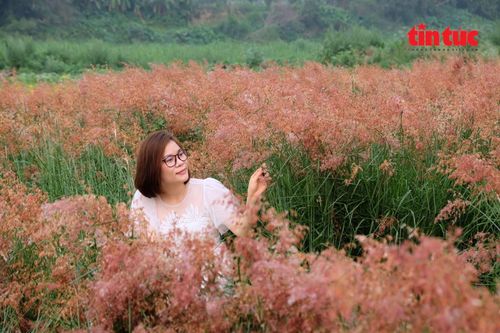 Sắc hồng đặc trưng thu hút mọi ánh nhìn.