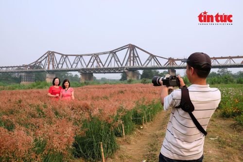 Du khách lưu lại mùa cỏ hồng qua những bức ảnh.