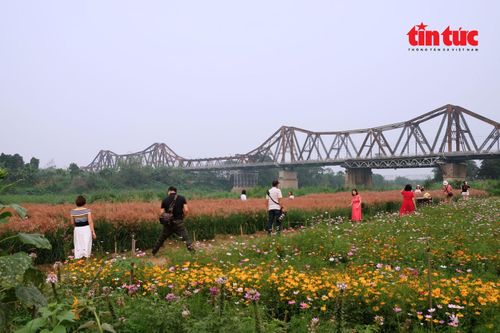 Người dân Thủ đô tìm đến bờ sông Hồng để thưởng lãm cảnh đẹp.