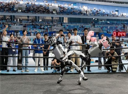 Các robot hình người của Unitree tham gia một cuộc thi kickboxing. Ảnh: WSJ
