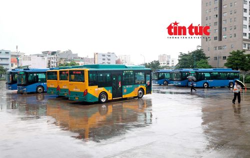 Việc TP Hồ Chí Minh chủ trương miễn phí vé xe buýt cho người dân trên địa bàn TP Hồ Chí Minh là bước đi phù hợp, nhân văn.