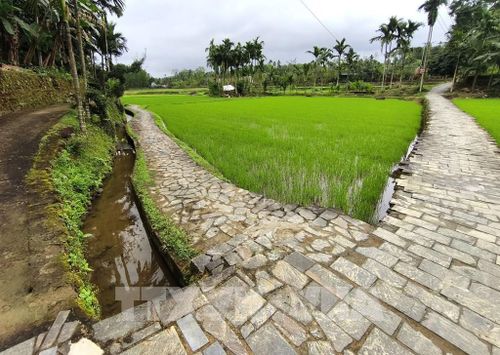 Quang cảnh thân quen của một làng quê Việt cổ. Ảnh: Quốc Dũng - TTXVN