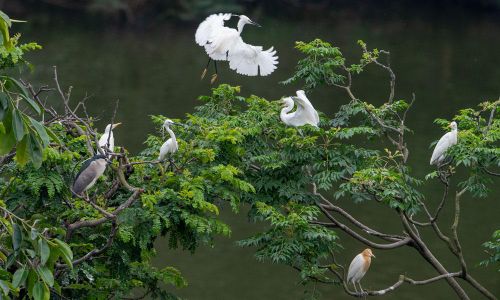 “Phòng thí nghiệm tự nhiên” phục vụ công tác giảng dạy, học tập cho giảng viên, sinh viên.