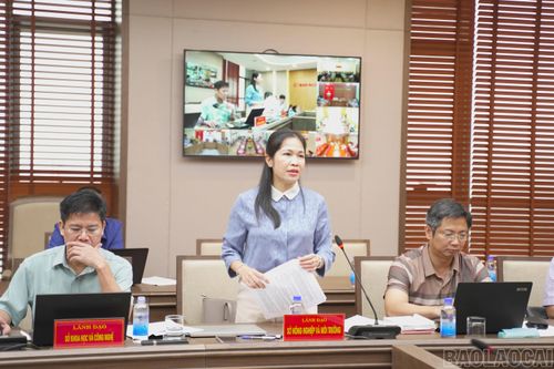 Lãnh đạo Sở Nông nghiệp và Môi trường báo cáo công tác đo đạc lập bản đồ địa chính.