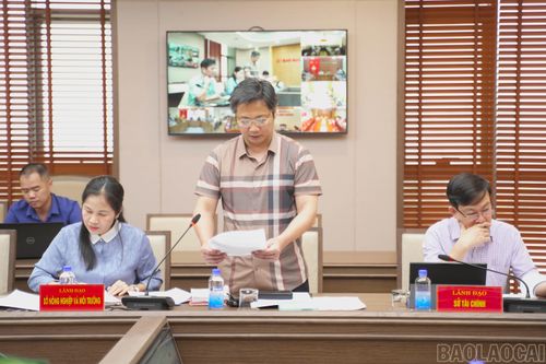 Công bố quyết định thành lập Ban Chỉ đạo và Tổ giúp việc Ban Chỉ đạo.