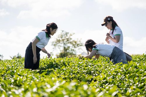 Du khách trải nghiệm các giá trị văn hóa bản địa tại vùng đất cao nguyên Lâm Đồng