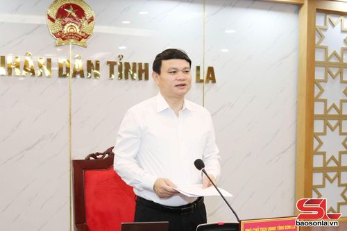 Đồng chí Đặng Ngọc Hậu, Phó Chủ tịch UBND tỉnh phát biểu tại cuộc làm việc.