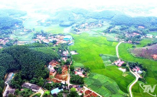 Tỷ lệ che phủ rừng đạt trên 62% đưa Thái Nguyên trở thành địa phương có tiềm năng lớn tham gia thị trường tín chỉ các-bon.