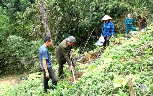 Cán bộ Hạt Kiểm lâm số 13 hướng dẫn người dân xã Yên Trạch trồng, chăm sóc rừng theo tiêu chuẩn FSC.