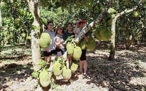 Du khách tham quan làng sinh thái Thái Chấn Sơn, xã Thượng Đức.