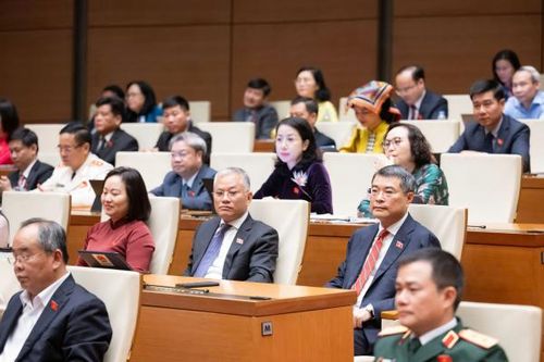 Các đại biểu dự phiên họp.