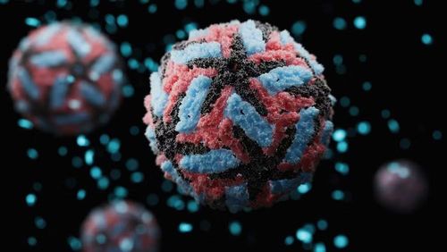 Virus Dengue gây bệnh sốt xuất huyết. (Ảnh: CDC Hoa Kỳ)