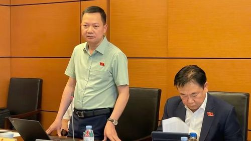 Đại biểu Trịnh Xuân An (Đoàn Đồng Nai). (Ảnh: Thiên Lam)