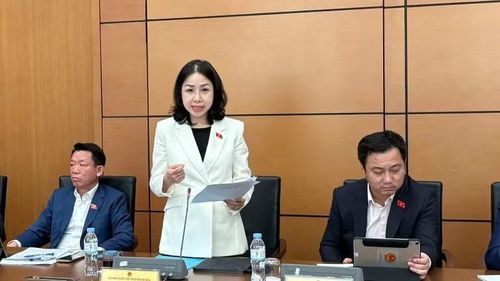 Đại biểu Phan Thị Thúy Linh (Đoàn Thanh Hóa). (Ảnh: TH)