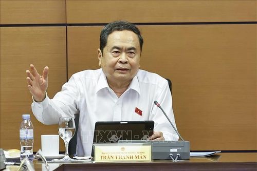 Chủ tịch Quốc hội Trần Thanh Mẫn, đại biểu Quốc hội TP. Hồ Chí Minh phát biểu. Ảnh: Doãn Tấn/TTXVN