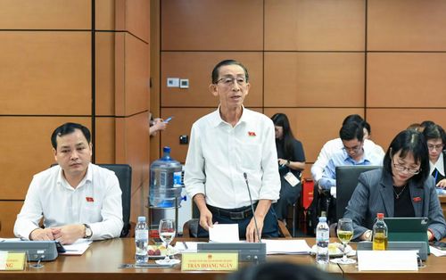  Đại biểu Quốc hội Trần Hoàng Ngân. Ảnh: Lâm Hiển 