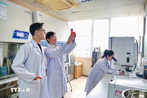 Ảnh minh họa. (Ảnh: Diệu Thúy/TTXVN)