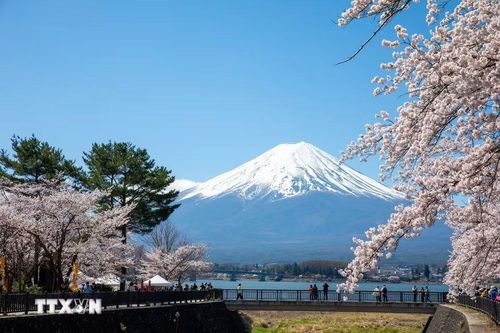 Núi Phú Sĩ hùng vĩ nhìn từ mương nước dẫn ra hồ Kawaguchi. (Ảnh: Xuân Giao/TTXVN)