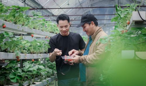 Du khách tham quan, trải nghiệm thu hoạch nông sản tại một mô hình sản xuất nông nghiệp ở Lâm Đồng