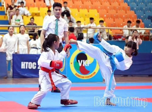 Các VĐV nhí tham gia giải đấu do Liên đoàn Karate Vĩnh Phúc tổ chức