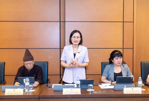 ĐBQH Trần Thị Kim Nhung (Quảng Ninh) phát biểu. Ảnh: Mạnh Hưng