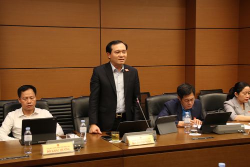 Đại biểu Bùi Thanh Toàn (Đắk Lắk) phát biểu. Ảnh: Đắc Trường